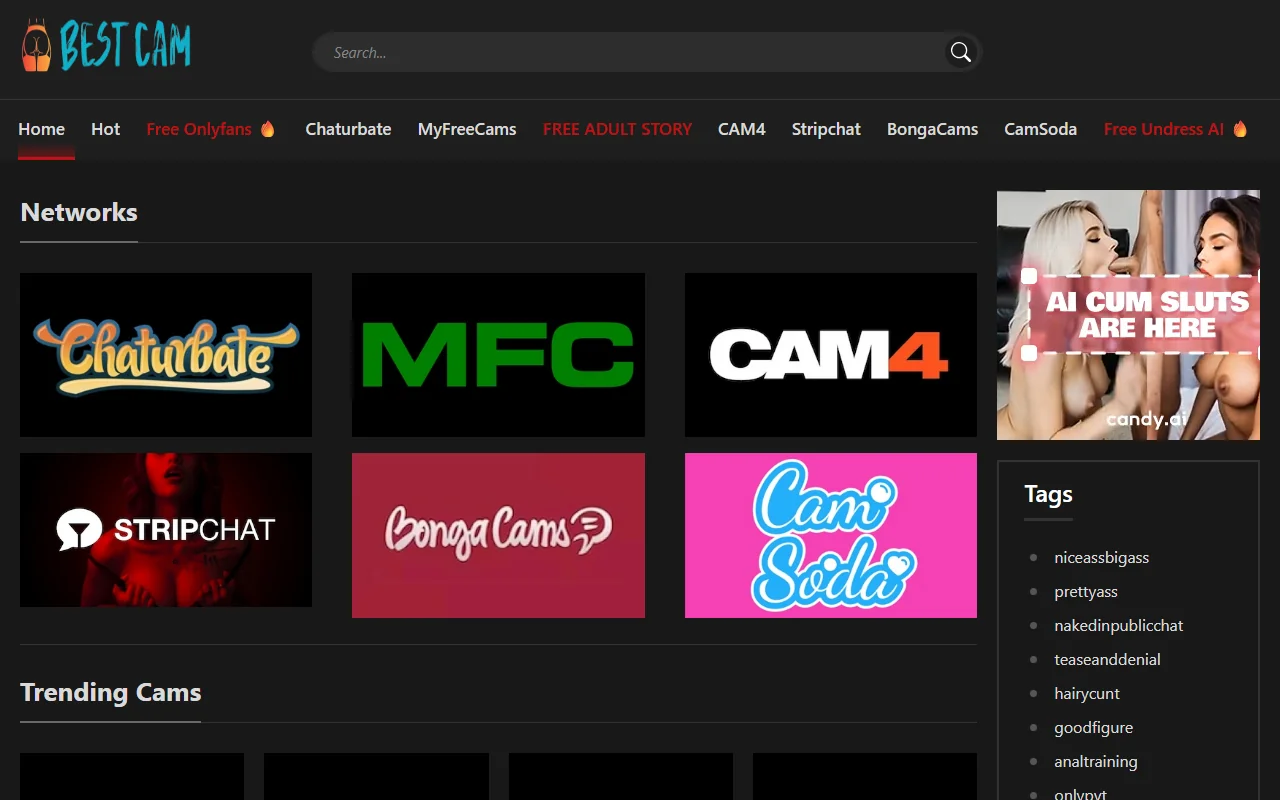 Screenshot: Bestcam Screenshot of Bestcam