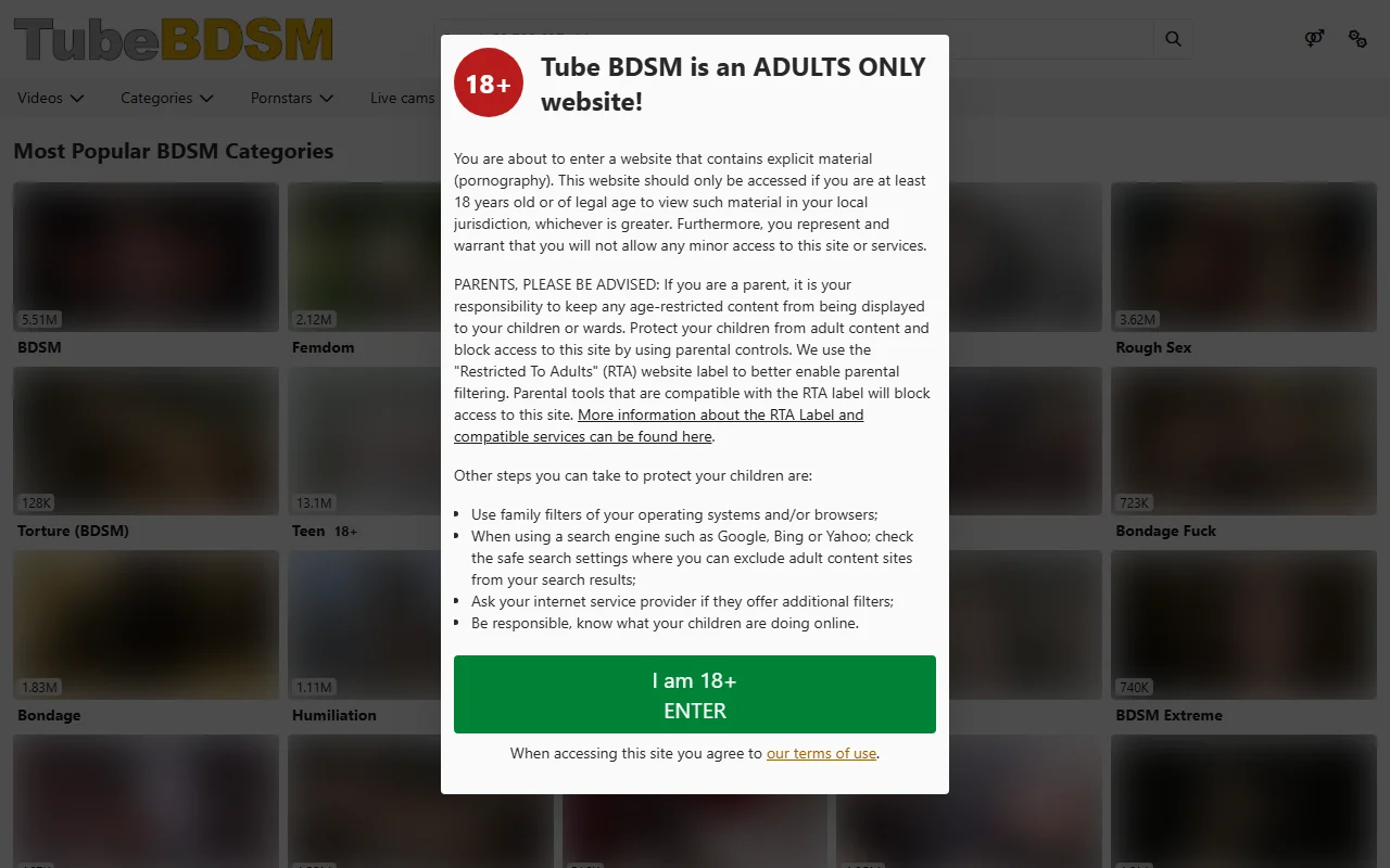 Screenshot of Tubebdsm